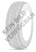 FALKEN EUROWINTER HS02 Guma 215/65R 16 98H TL HS-02 M+S